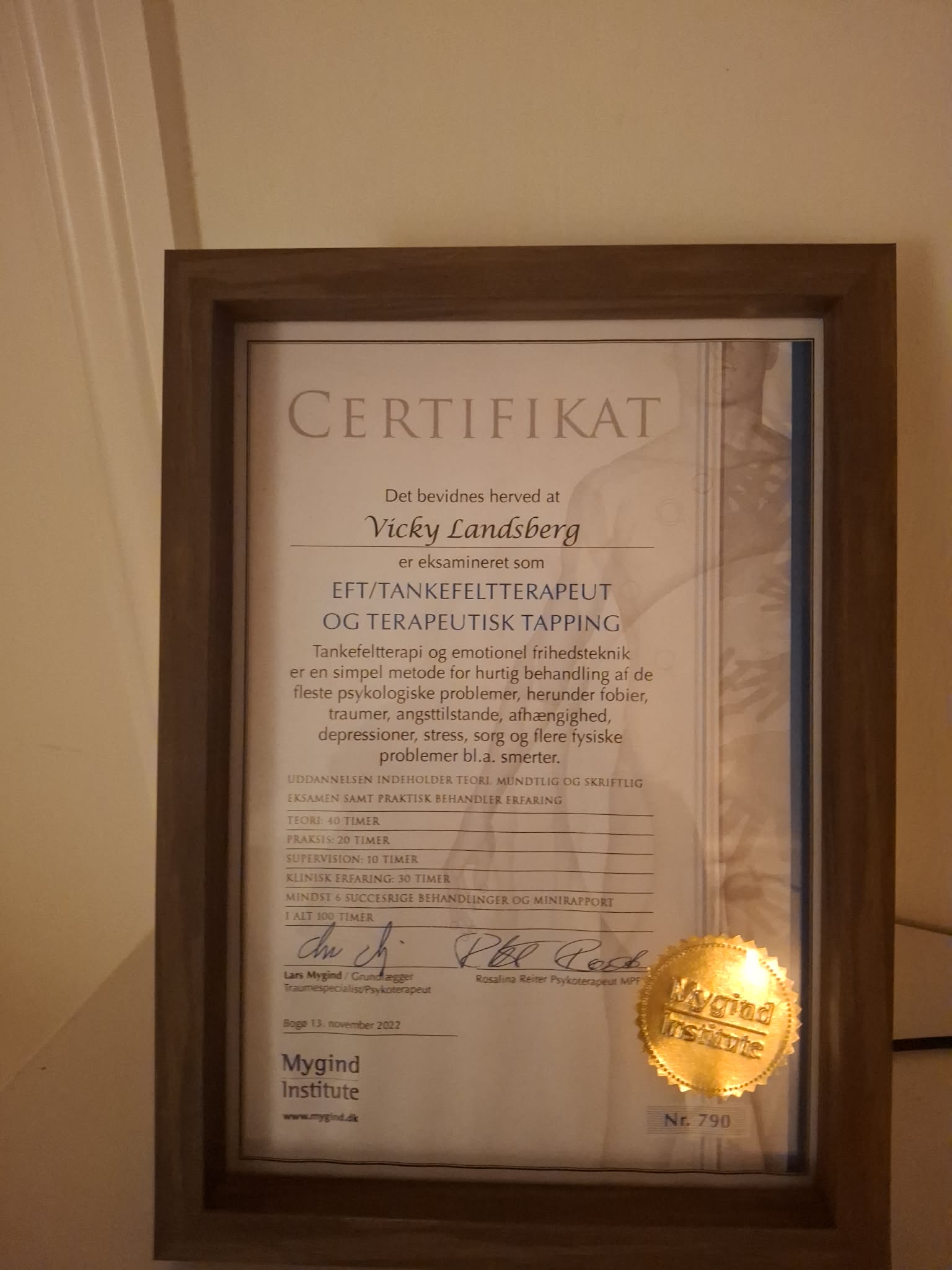 Certifikat som EFT/Tankefeltterapeut